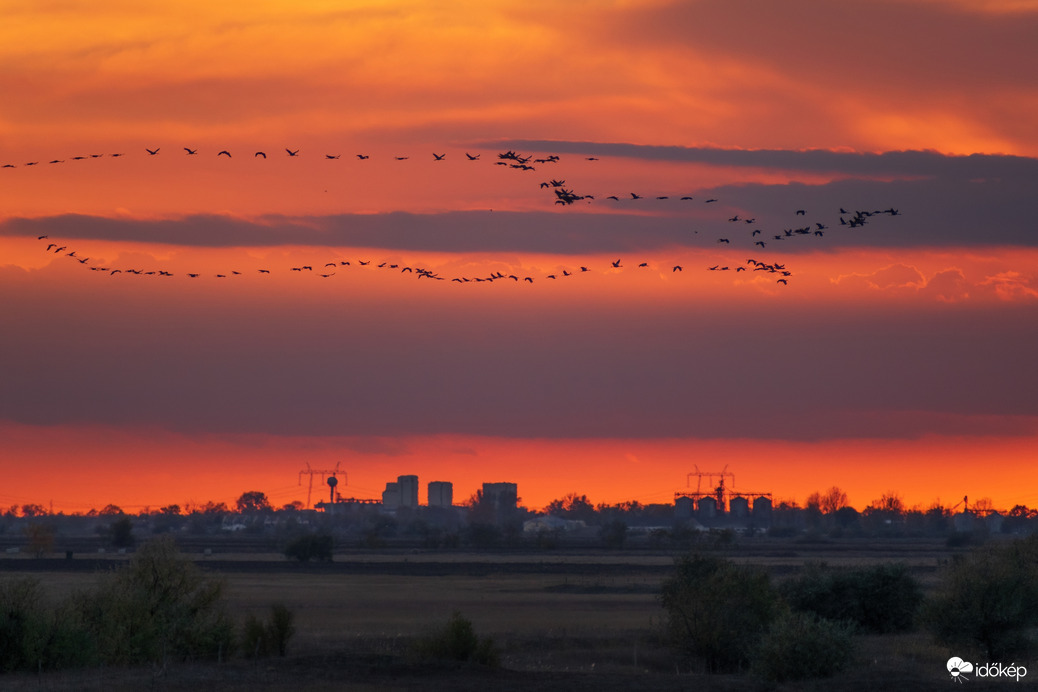 Naplementés daruvonulás Karcag határában