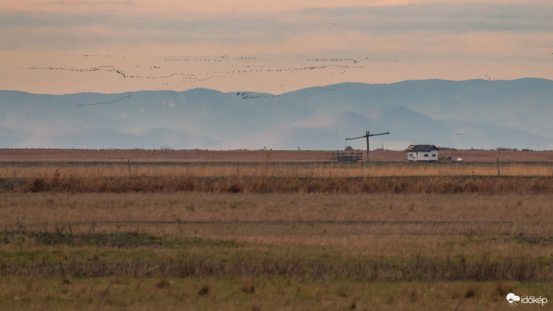 Távoli daruvonulás és a Bükk