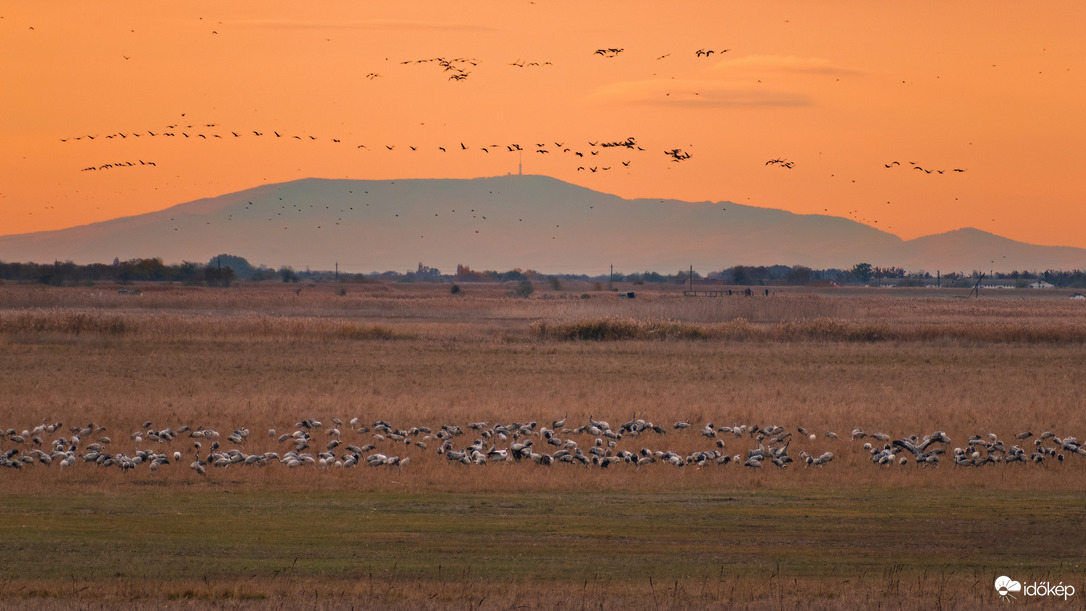 Éjszakázóhelyre érkező darvak és a Mátra :)