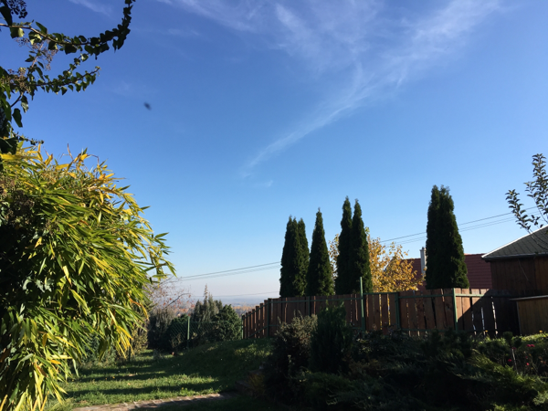 Észlelési fényképek