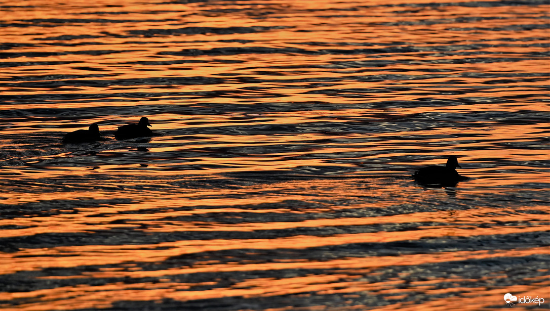 Karácsonyi Három Kacsákok