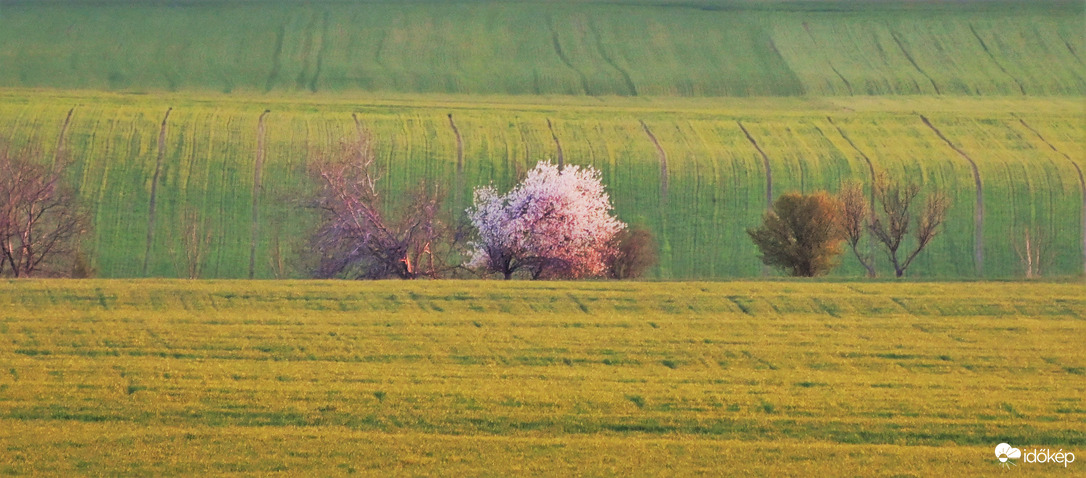 Földvár és Szárszó között