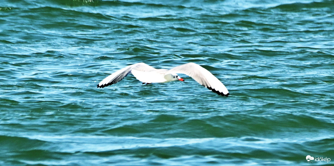 Víz fölött, ég alatt