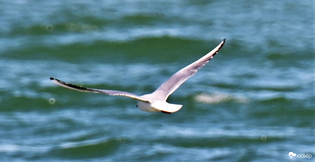 Víz fölött, ég alatt