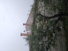 Gyál