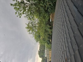 Felsőpakony