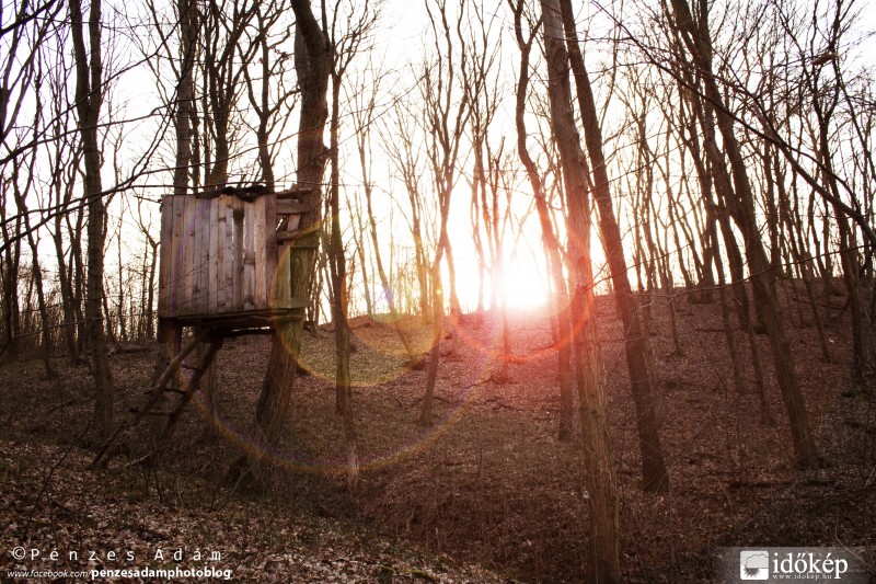 Észlelési fényképek