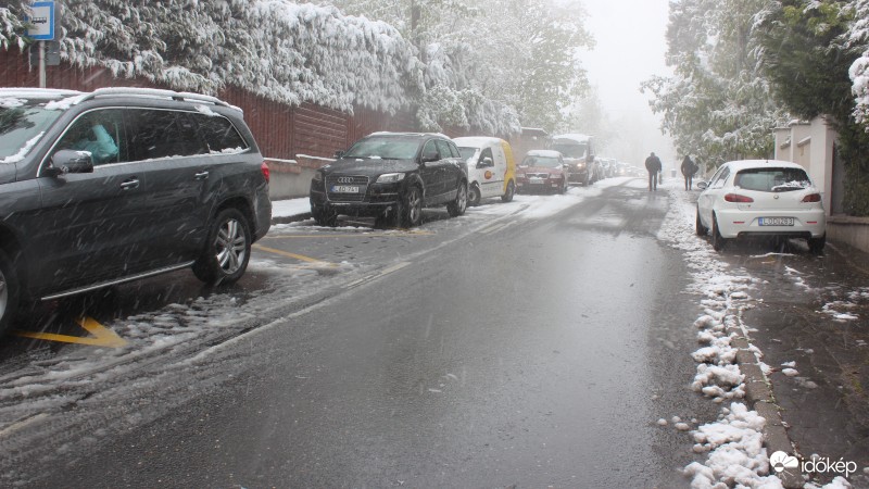 Észlelési fényképek