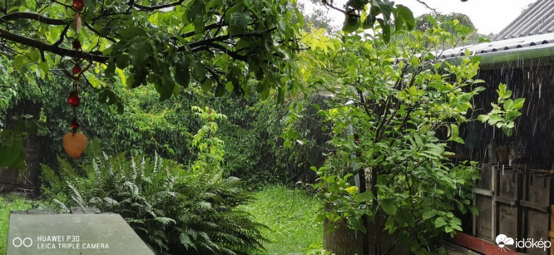 Észlelési fényképek