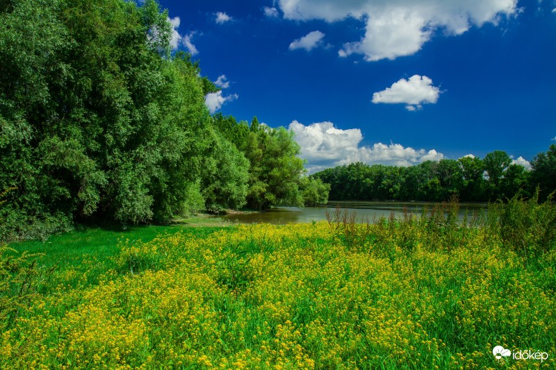 Dunapart, Szentendre