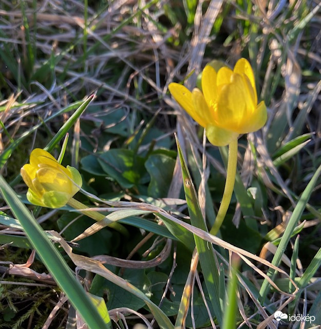 Várjuk a gólyákat!