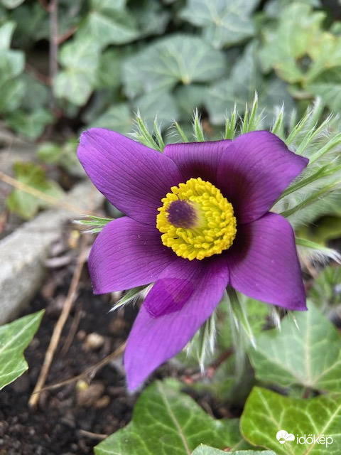 Húsvét másnapján