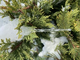 Jégcsap a dermesztő hidegben