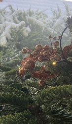 Vízkereszt utolsó fényei