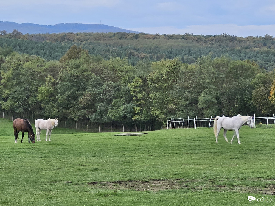 Erdély hangulat Horvátzsidány Marton lovasfarm