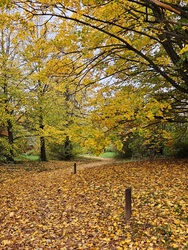 Chernel-park