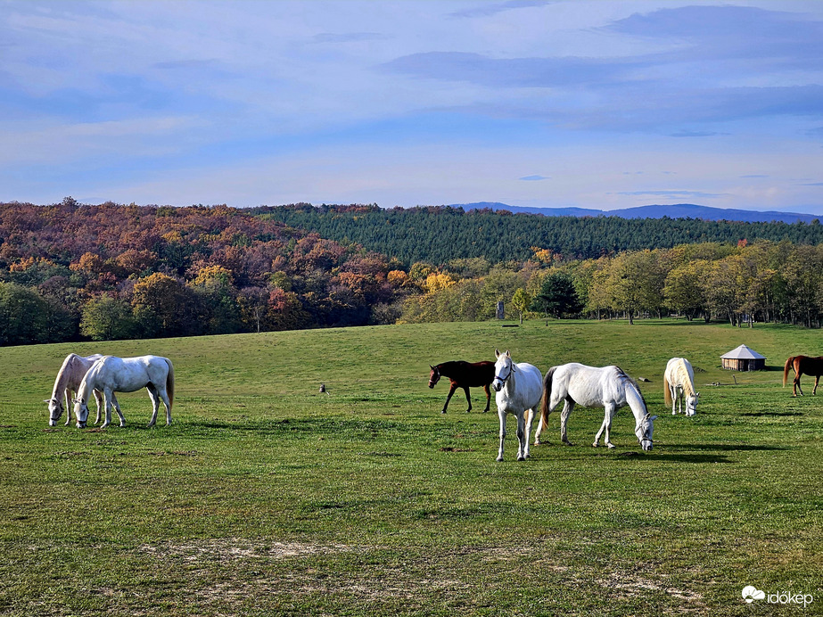 Természet- és állatbarátoknak szeretettel;)
