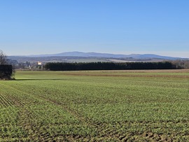 Tavaink kezdenek befagyni