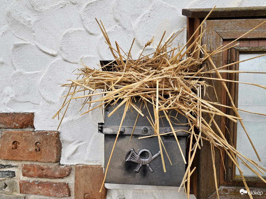 Lucázás Bozsokon 2