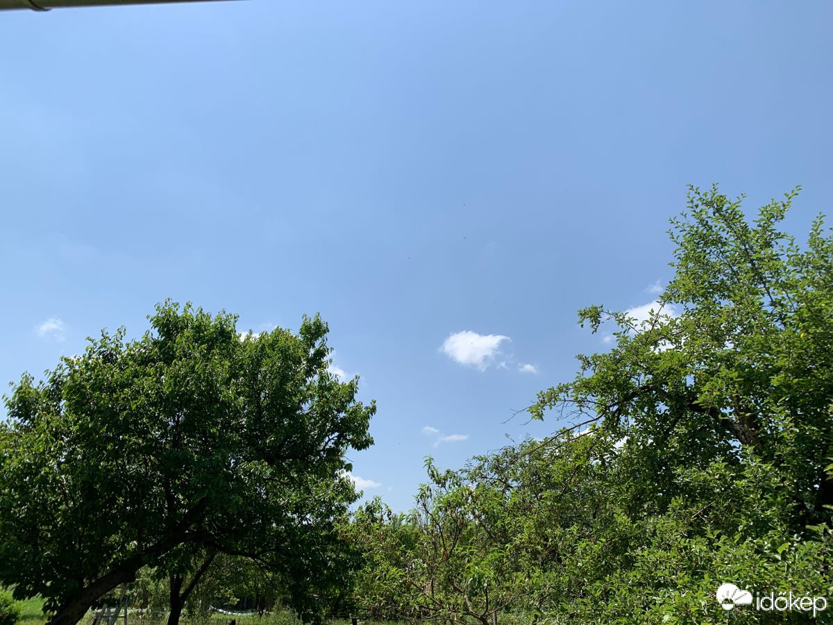 Észlelési fényképek