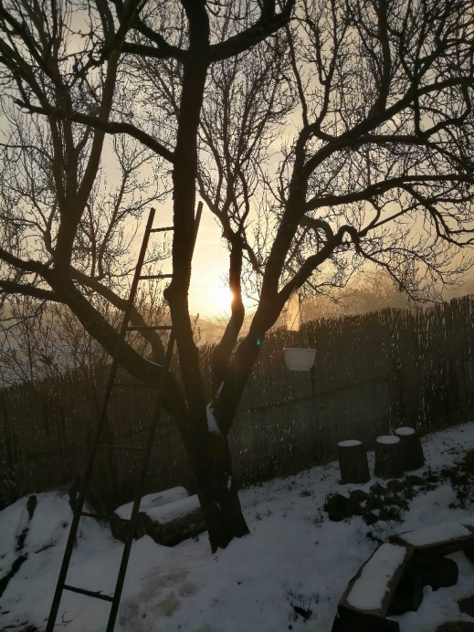 Ózd