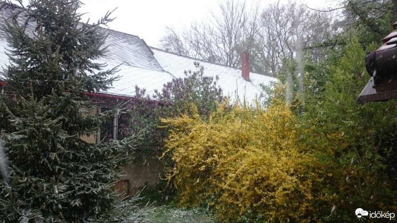 Észlelési fényképek