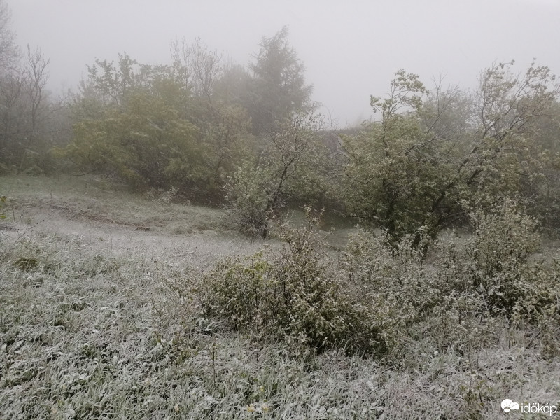 Észlelési fényképek