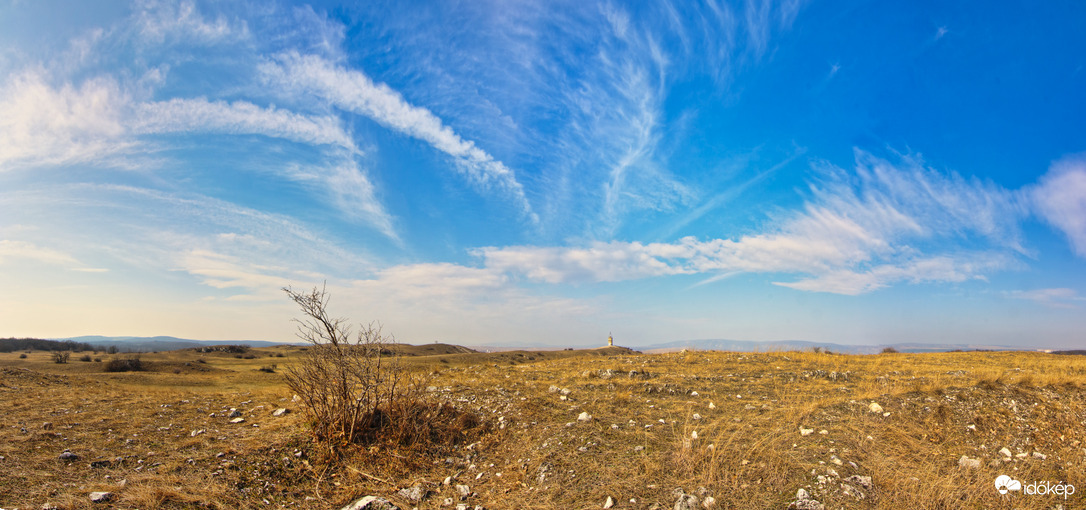 Panoráma egy bokorral és fodros felhőkkel