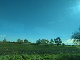 Jurová