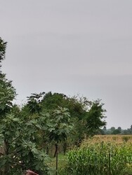 Marcaltő