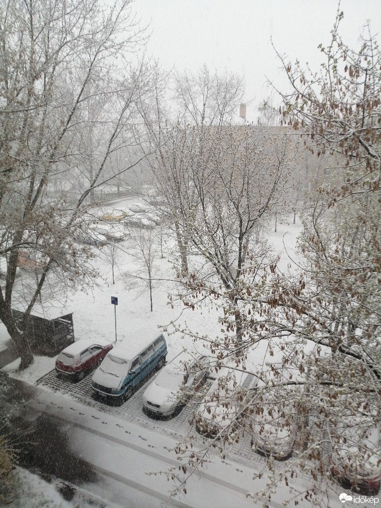 Észlelési fényképek