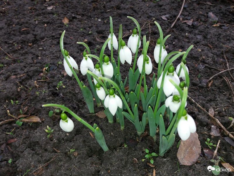 Itt a tavasz?...