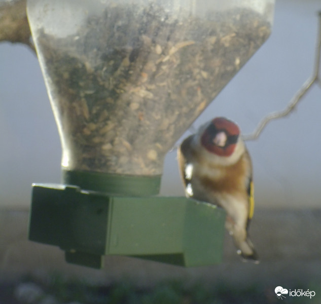 Sziasztok!Köszi a kaját!