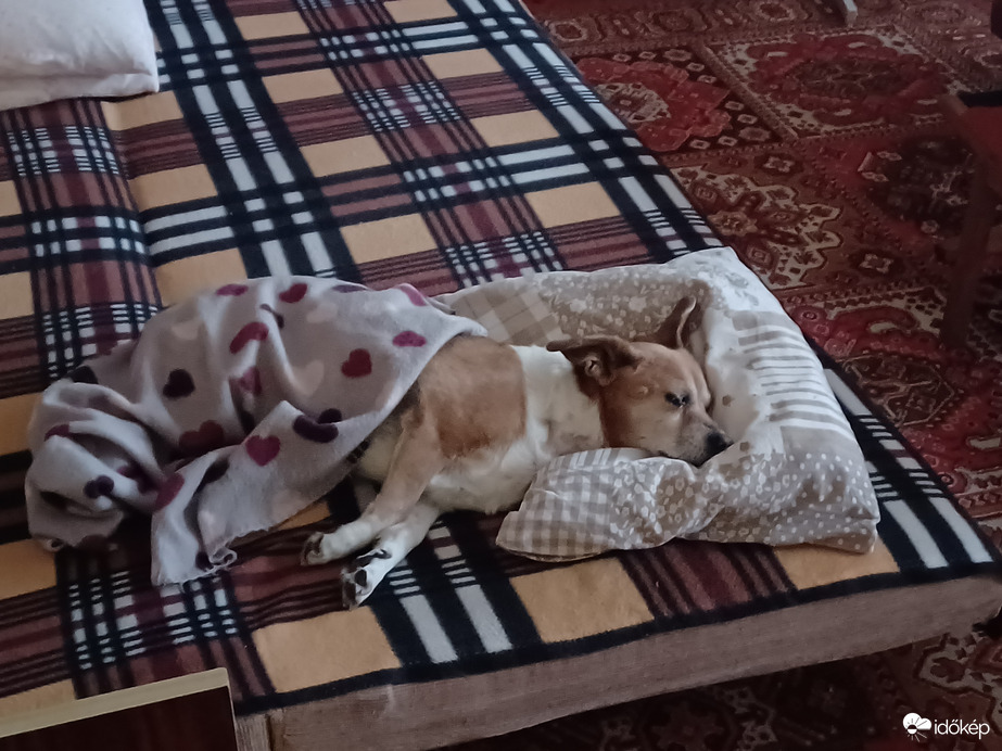 Neki is Karácsony van....Mindenkinek Boldog Karácsonyt. 