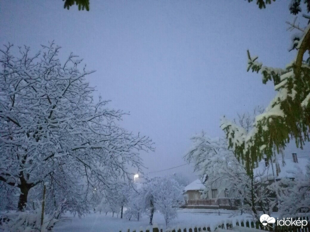 Észlelési fényképek