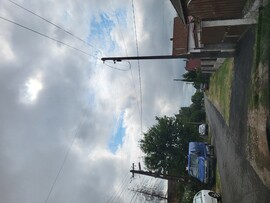 Monorierdő