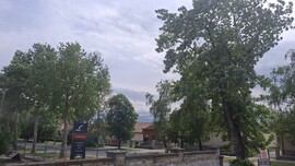 Nyúl