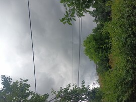 Sály