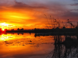 Szigetközi naplemente 