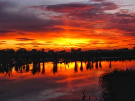 Szigetközi naplemente 