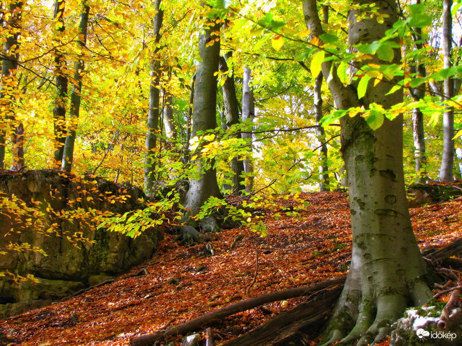 Az őszi Bakony