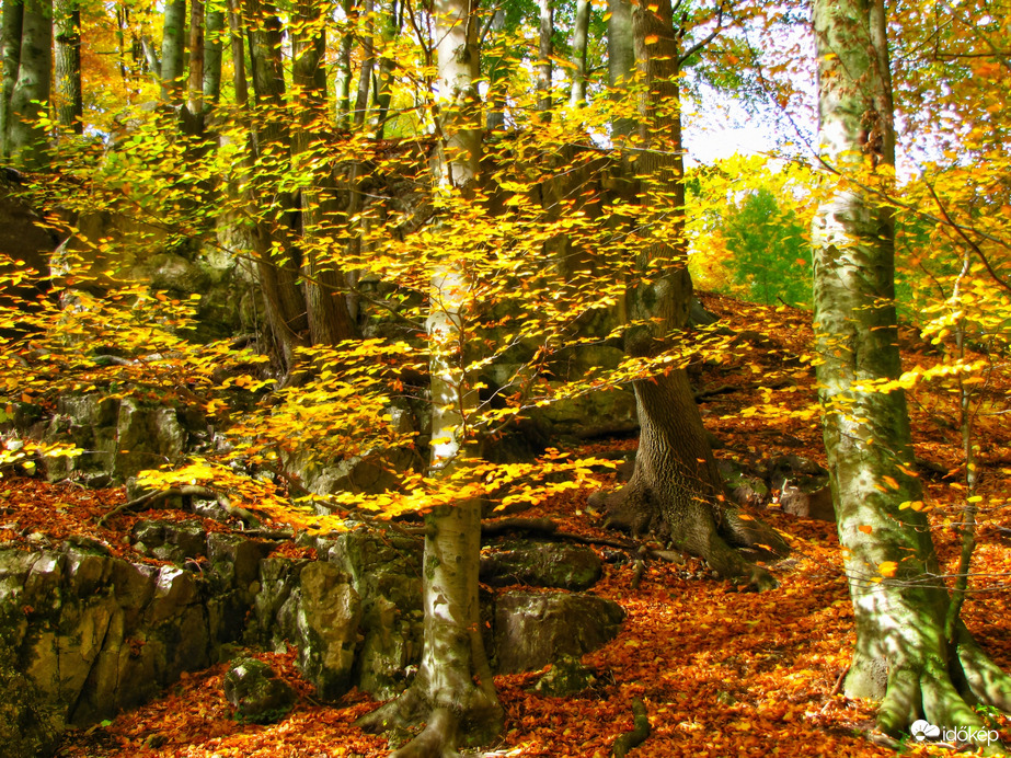 Az őszi Bakony