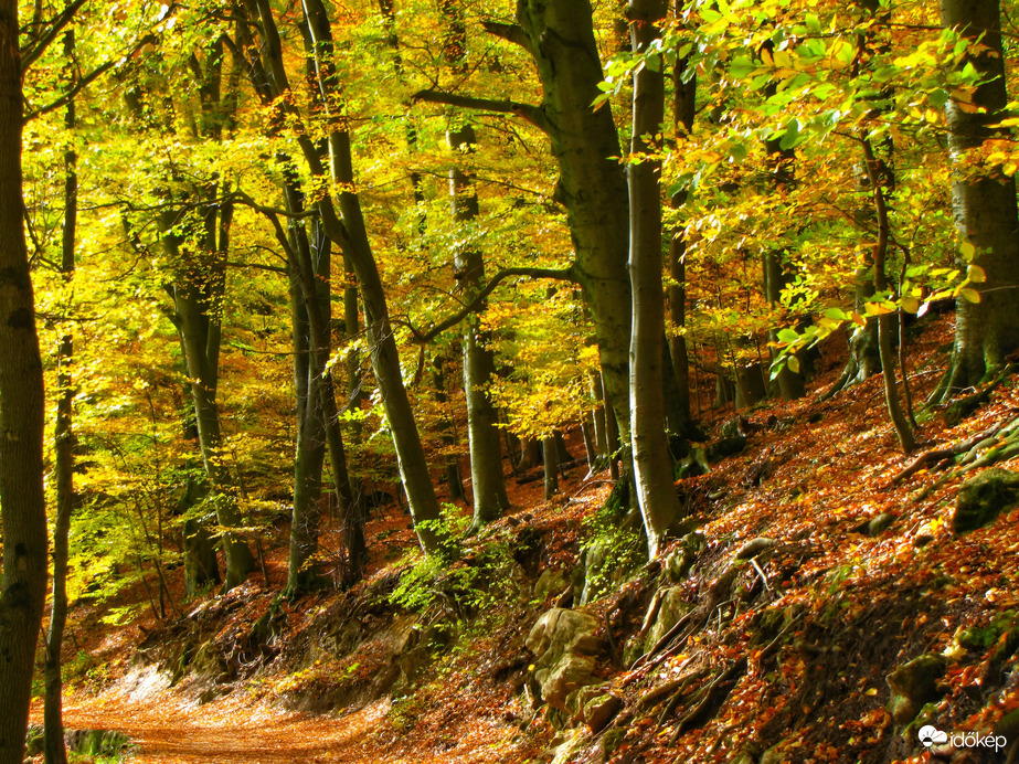 Az őszi Bakony