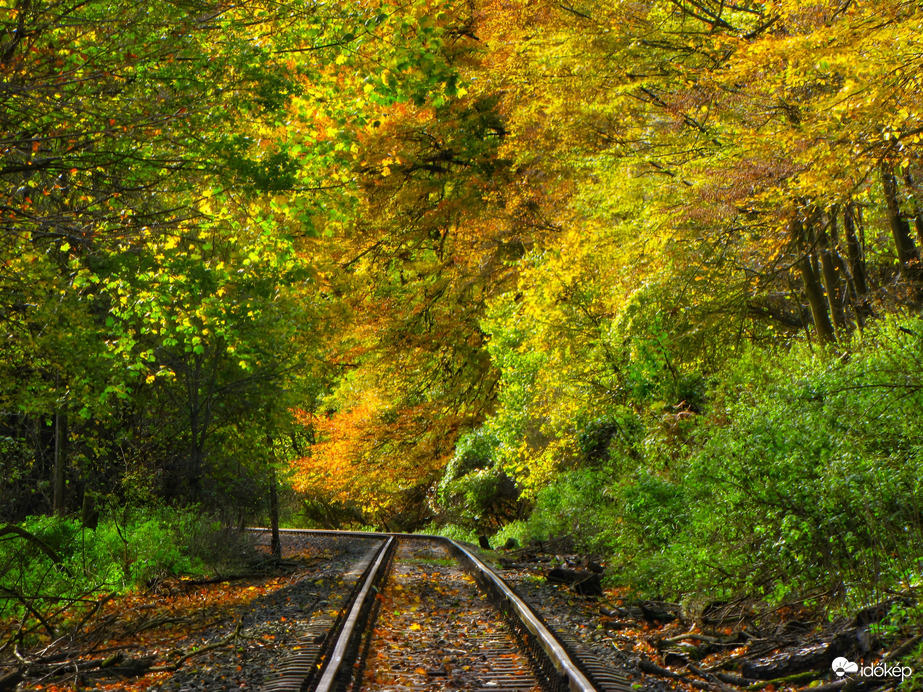 Az őszi Bakony