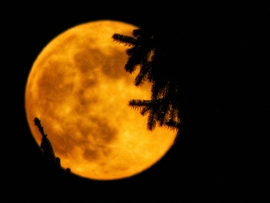 Az év első szigetközi teliholdja