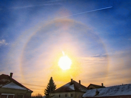 Szigetközi naphaló