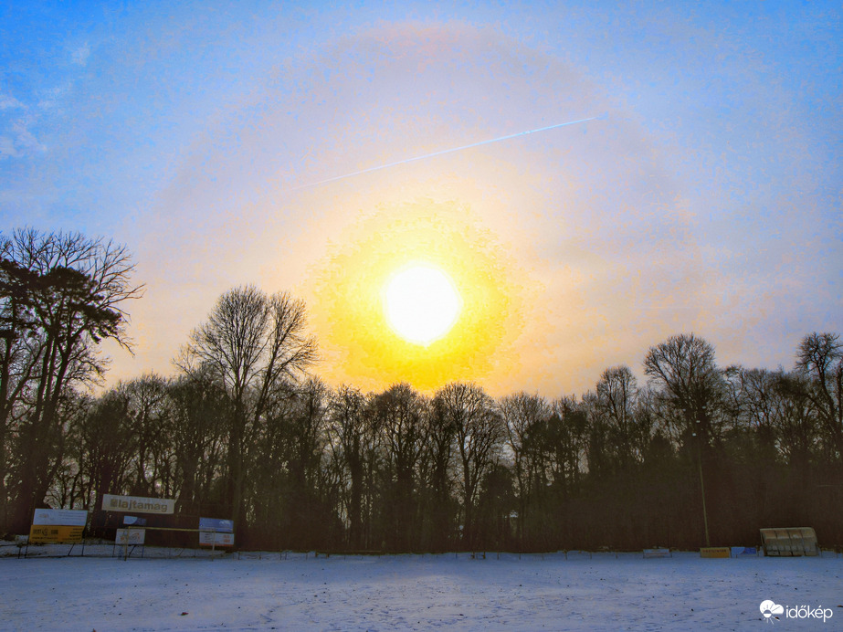 Szigetközi naphaló
