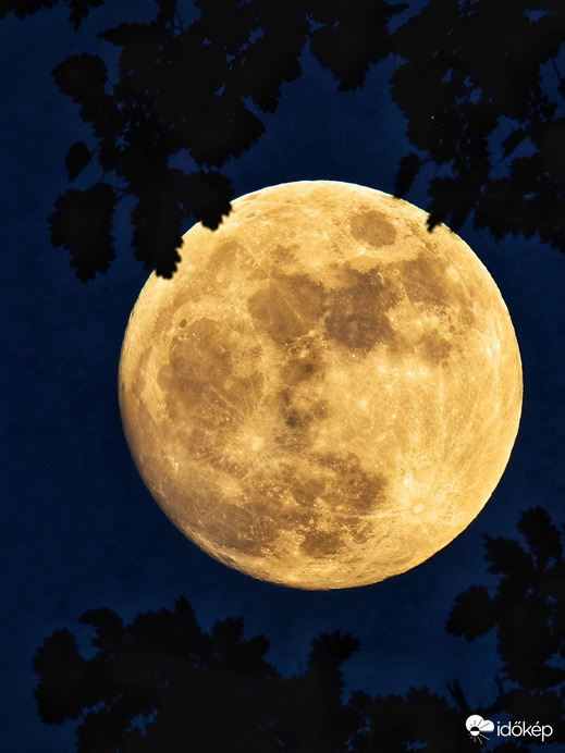 Astronomia