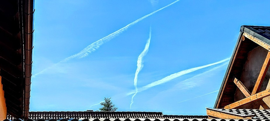 Szár