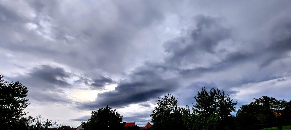 Szár
